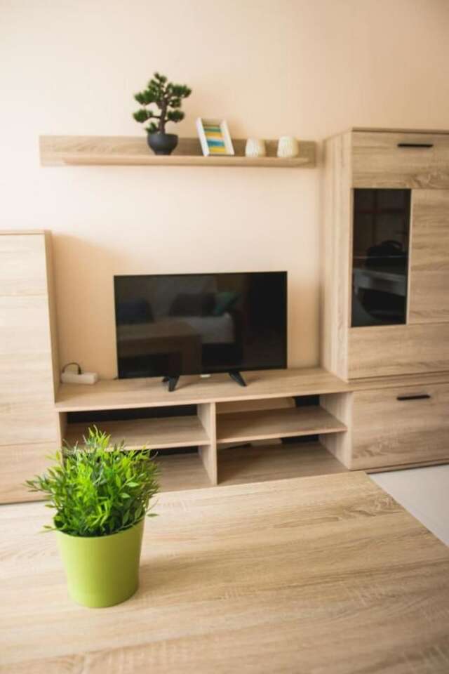 Апартаменты Kaunas Center 3 Room Apartment Каунас-17